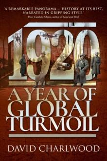 1920 : A Year of Global Turmoil