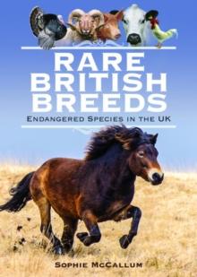 Rare British Breeds : Endangered Species in the UK