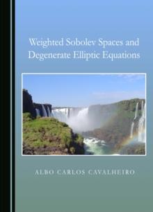 None Weighted Sobolev Spaces and Degenerate Elliptic Equations