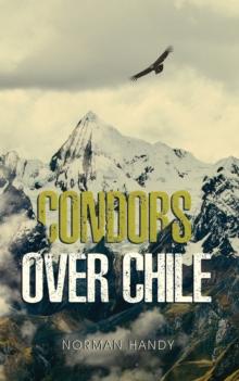 Condors Over Chile