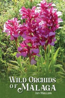 Wild Orchids of Malaga