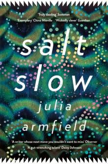 Salt Slow : From The Author Of OUR WIVES UNDER THE SEA