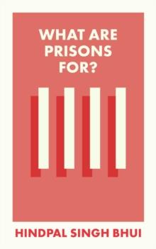 What Are Prisons For?