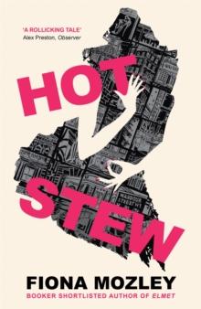 Hot Stew : the new novel from the Booker-shortlisted author of Elmet