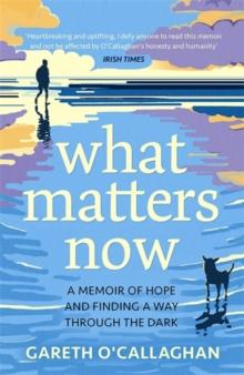 What Matters Now : A Memoir of Hope and Finding a Way Through the Dark