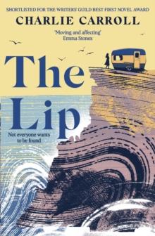 The Lip : a novel of the Cornwall tourists seldom see