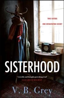 Sisterhood : A heartbreaking mystery of family secrets and lies