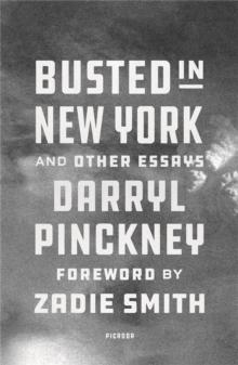 Busted in New York & Other Essays : with an introduction by Zadie Smith