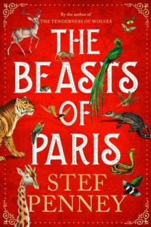 The Beasts of Paris : A dazzling historical epic of love and survival