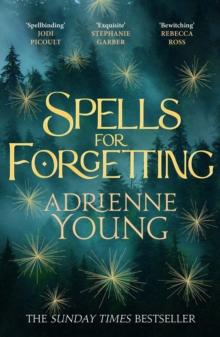 Spells for Forgetting : the spellbinding magical mystery, perfect for winter nights