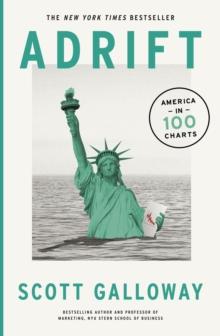 Adrift : 100 Charts that Reveal Why America is on the Brink of Change