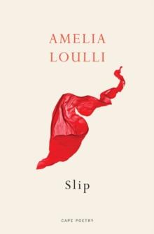 Slip : From the Winner of the Northern Writers  Award