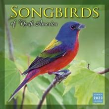 SONGBIRDS OF NORTH AMERICA