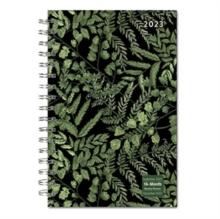 DESIGNER FANCY FERNS