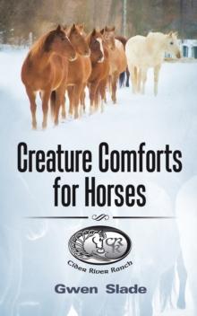 Creature Comforts for Horses