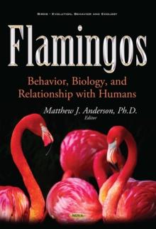 Flamingos : Behavior, Biology, and Relationship with Humans