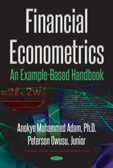 Financial Econometrics : An Example-Based Handbook