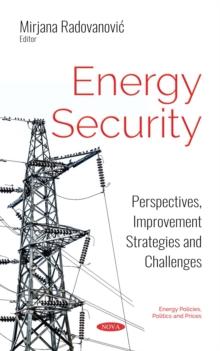 Energy Security : Perspectives, Improvement Strategies and Challenges