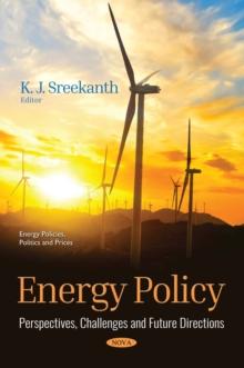 Energy Policy : Perspectives, Challenges and Future Directions