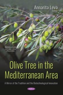 Olive Tree in the Mediterranean Area : A Mirror of the Tradition and the Biotechnological Innovation