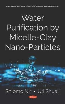 Water Purification by Micelle-Clay Nano-Particles