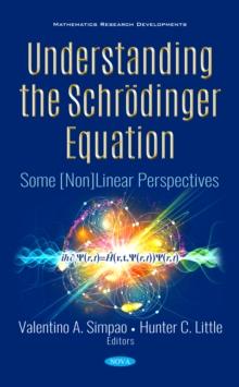 Understanding the Schrodinger Equation: Some [Non]Linear Perspectives