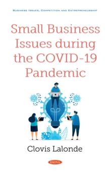 Small Business Issues during the COVID-19 Pandemic