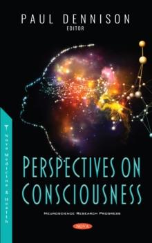 Perspectives on Consciousness