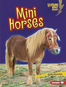 Mini Horses