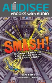 Smash! : Exploring the Mysteries of the Universe with the Large Hadron Collider