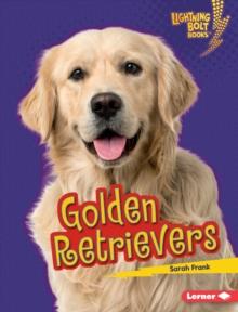 Golden Retrievers