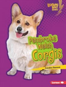 Pembroke Welsh Corgis