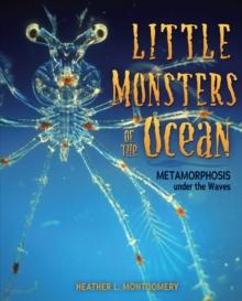 Little Monsters of the Ocean : Metamorphosis under the Waves