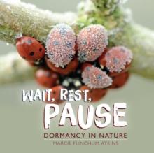 Wait, Rest, Pause : Dormancy in Nature