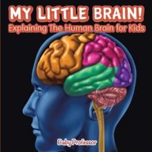 My Little Brain! - Explaining The Human Brain for Kids