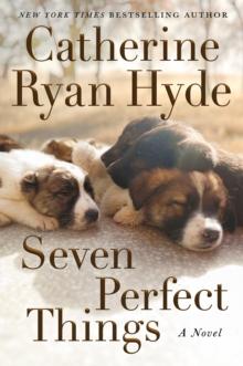 Seven Perfect Things : A Novel