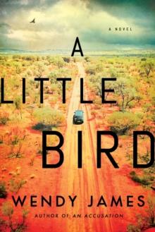 A Little Bird : A Novel