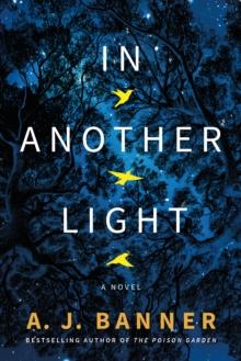 In Another Light : A Novel