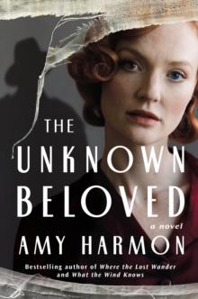 The Unknown Beloved : A Novel