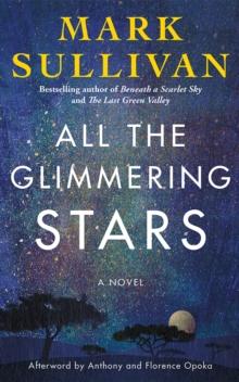 All The Glimmering Stars : A Novel