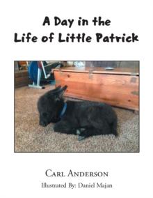 A Day in the Life of Little Patrick