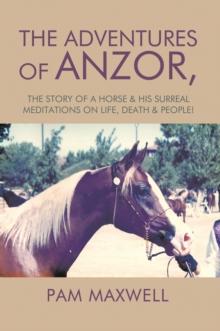 The Adventures of Anzor : The Story of a Horse & His Surreal Meditations on Life, Death & People!