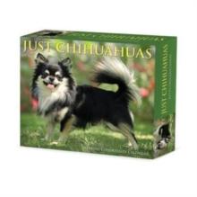 Chihuahuas 2025 6.2 X 5.4 Box Calendar