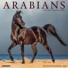 Arabians 2025 12 X 12 Wall Calendar