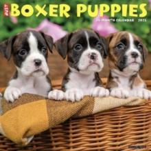 Just Boxer Puppies 2025 12 X 12 Wall Calendar