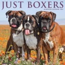 Just Boxers 2025 12 X 12 Wall Calendar