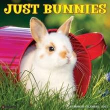 Just Bunnies 2025 12 X 12 Wall Calendar