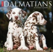 Just Dalmatians 2025 12 X 12 Wall Calendar