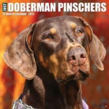 Just Dobermans 2025 12 X 12 Wall Calendar