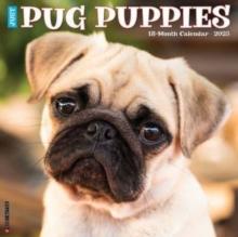 Just Pug Puppies 2025 12 X 12 Wall Calendar